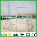 Hot Dipped Galvanized Horse Fence Panel / Professional Manufacturer